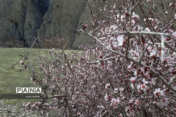 طبیعت زیبای فریدونشهر در استان‌اصفهان