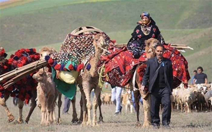 کاهش بارندگی عشایررامجبور به فروش دام‌هایشان کرد