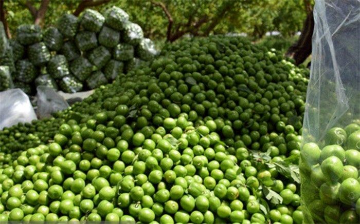 چه کسانی نباید گوجه سبز بخورند؟