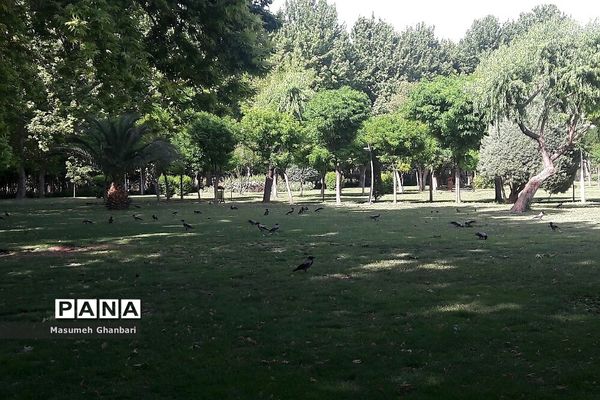 حال و هوای بوستان‌ها در ایام تمدید وضعیت قرمز کرونایی