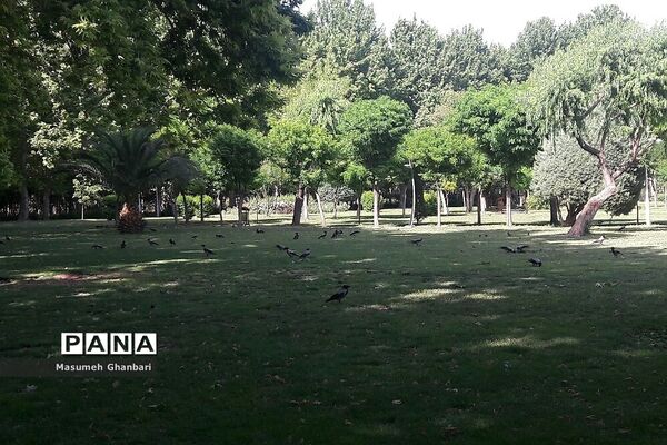 حال و هوای بوستان‌ها در ایام تمدید وضعیت قرمز کرونایی