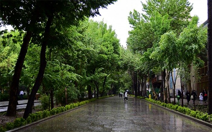تداوم رگبار باران در اغلب مناطق کشور