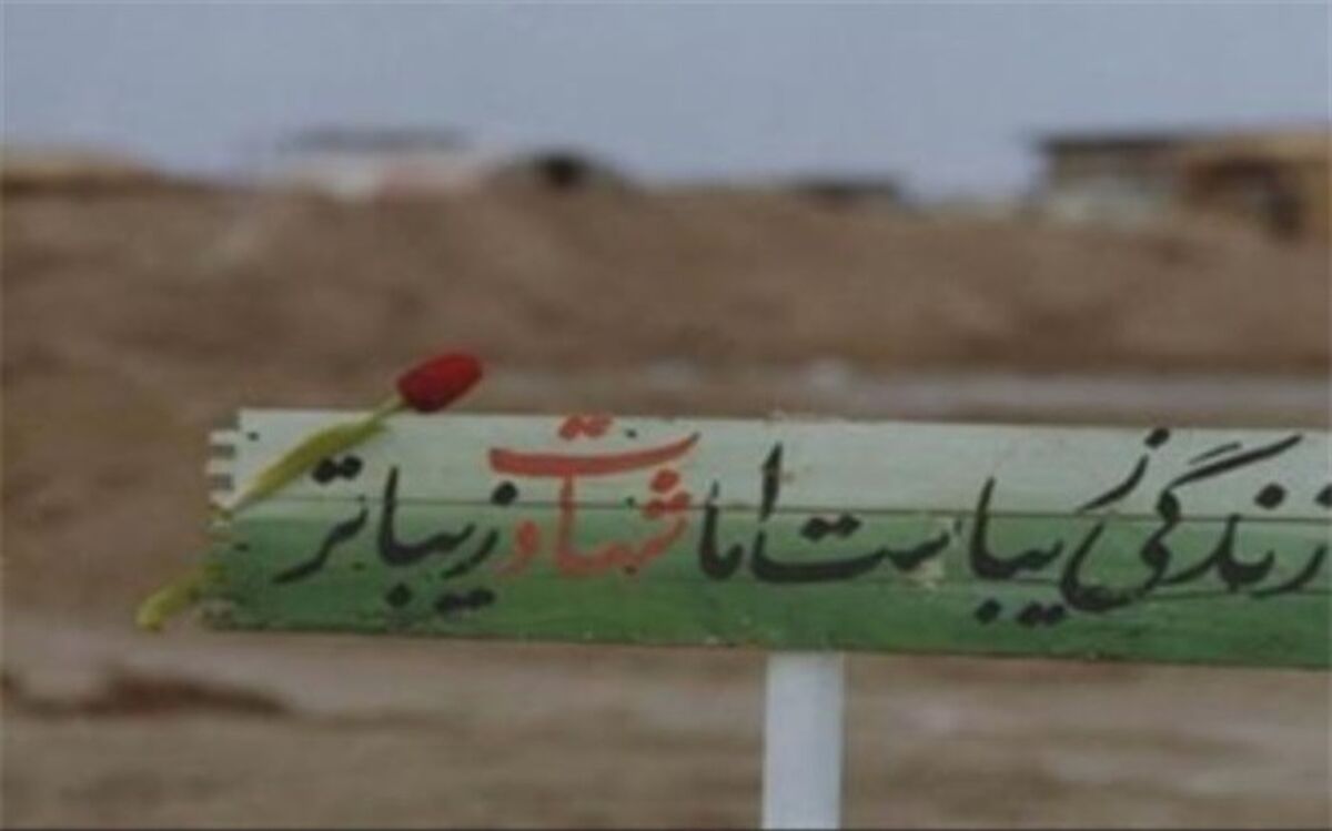 نگاهی به زندگی‌نامه شهید رضا تقی‌پور صابری