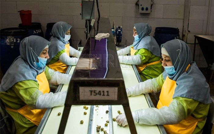 تولید نرم افزار سامان دهنده ضعف و قوت خط تولید