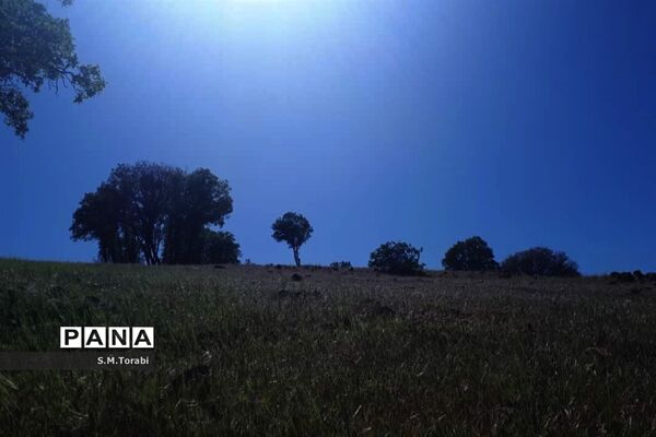 طبیعت زیبای تنگ بوان