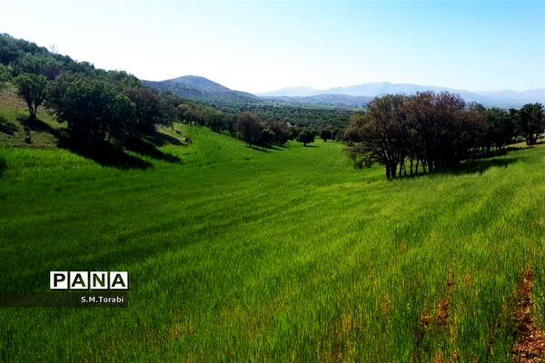 طبیعت زیبای تنگ بوان