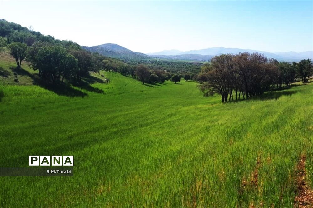 طبیعت زیبای تنگ بوان
