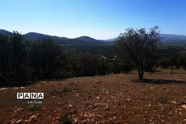 طبیعت زیبای تنگ بوان