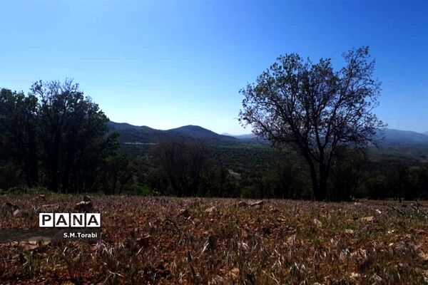 طبیعت زیبای تنگ بوان