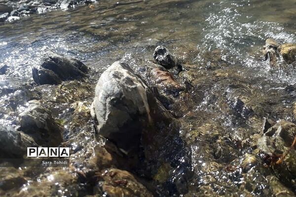 طبیعت بکر فریدو‌ن‌شهراصفهان
