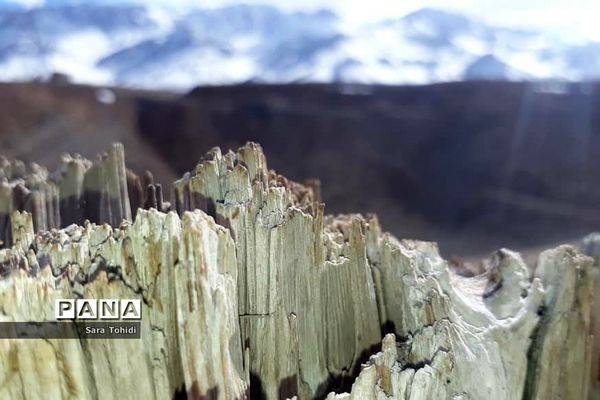 طبیعت بکر فریدو‌ن‌شهراصفهان
