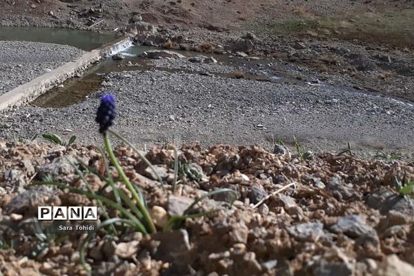 طبیعت بکر فریدو‌ن‌شهراصفهان