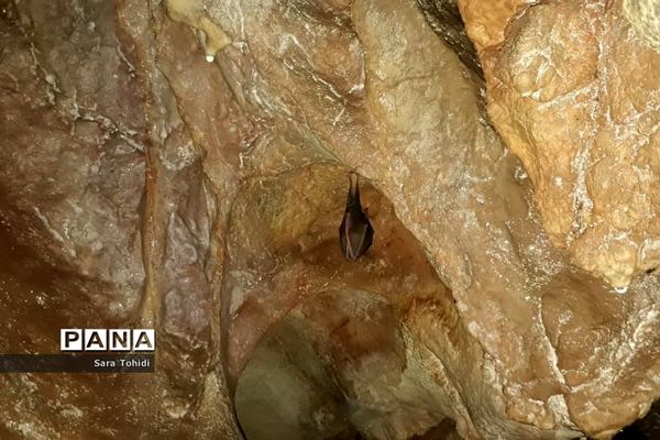 طبیعت بکر فریدو‌ن‌شهراصفهان