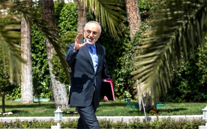 علی‌اکبر صالحی از حضور در انتخابات ریاست‌جمهوری منصرف شد