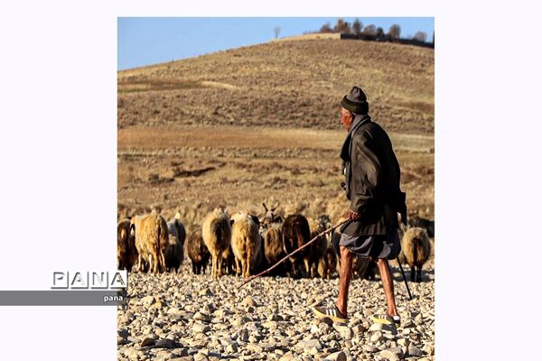 آثار برگزیده مسابقات هنری گروه‌های آموزشی هنربانان