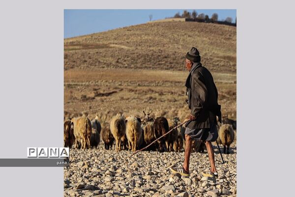آثار برگزیده مسابقات هنری گروه‌های آموزشی هنربانان