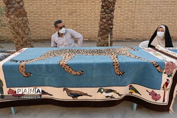 برگزاری طرح شبی با موزه در بافق