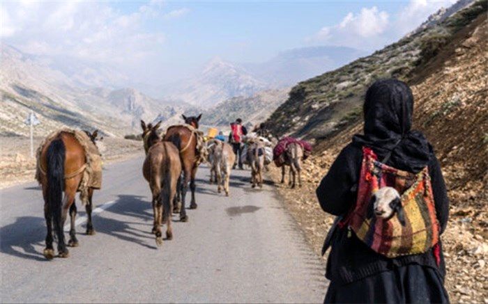 ماجرای کوچ خارجی‌ها در ایران