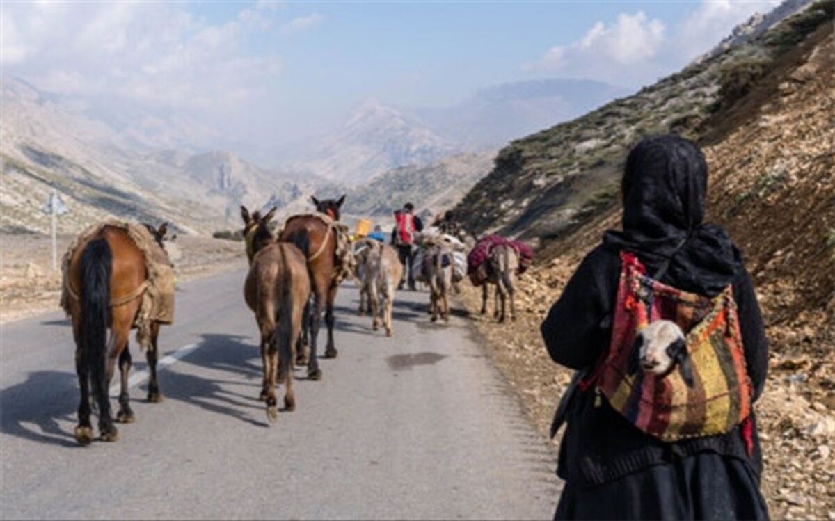 ماجرای کوچ خارجی‌ها در ایران
