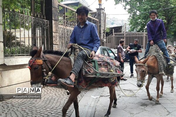 دَربَند، یکی از جذابیت‌های گردشی  تهران