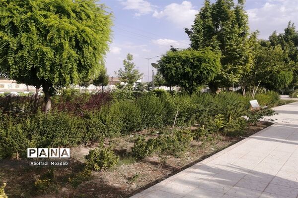 خلوت شدن بلوار سید مرتضی  کاشمر در  اوضاع کرونا