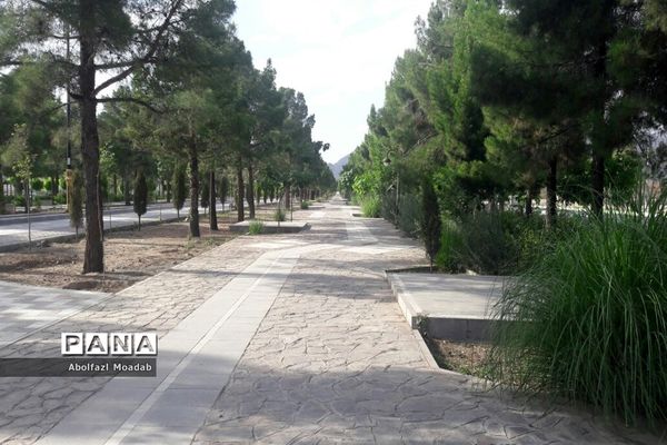 خلوت شدن بلوار سید مرتضی  کاشمر در  اوضاع کرونا