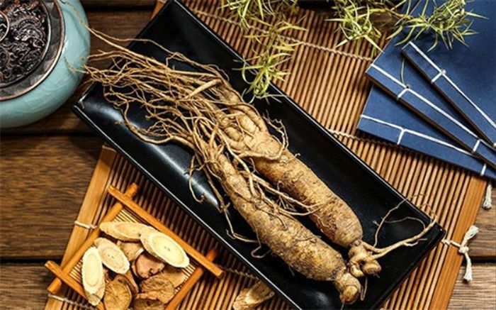 10 گیاه دارویی برای افزایش انرژی و تمرکز