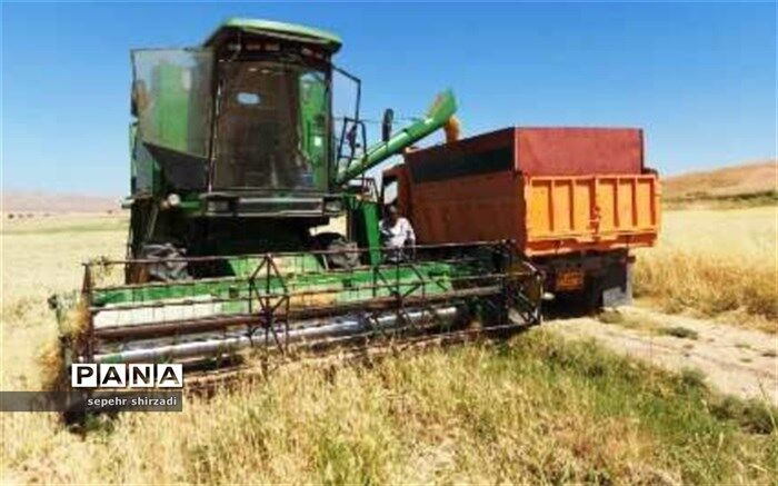 آغاز برداشت گندم از مزارع هنرستان الوند