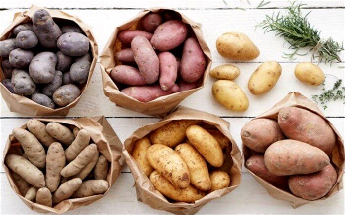 سیب‌زمینی‌هایی که تابحال ندیده‌اید + عکس