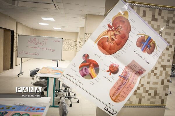 افتتاح مجتمع بزرگ آموزشی و پرورشی دکتر نصیری منطقه 10