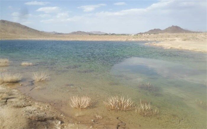 ۴٠٠ هزار قطعه لارو ماهی در منابع آبی تفتان رهاسازی شد 