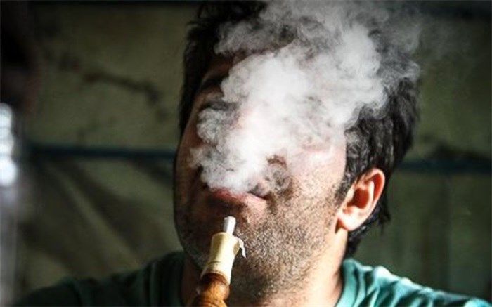 پک زدن همانا و تباهی همانا