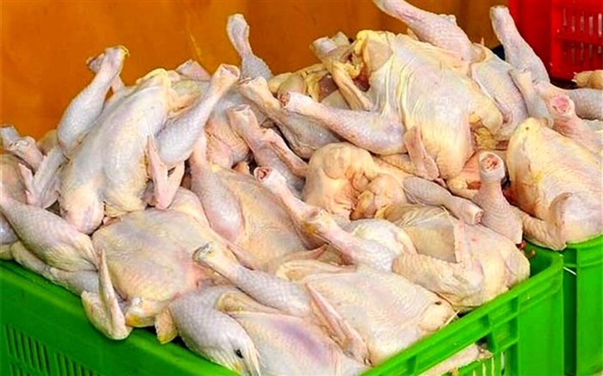با گرانی دوباره مرغ، همچنان وزارت صمت پاسخگو نیست