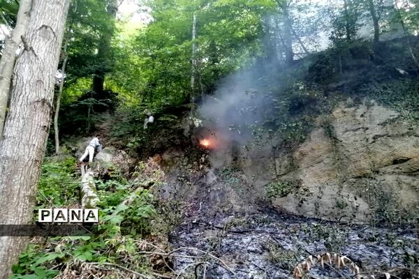 آتش سوزی در جنگل های توسکا چشمه گلوگاه مازندران