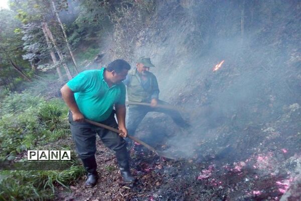 آتش سوزی در جنگل های توسکا چشمه گلوگاه مازندران