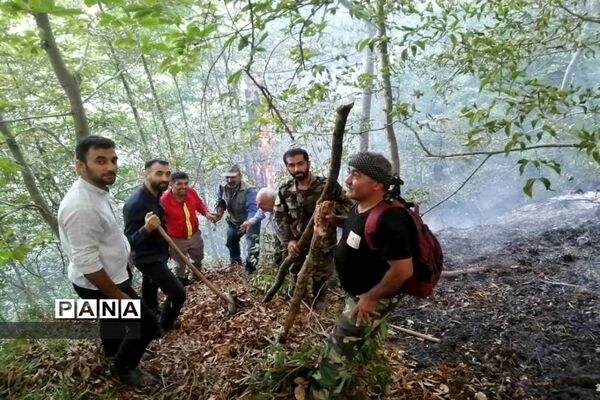 آتش سوزی در جنگل های توسکا چشمه گلوگاه مازندران