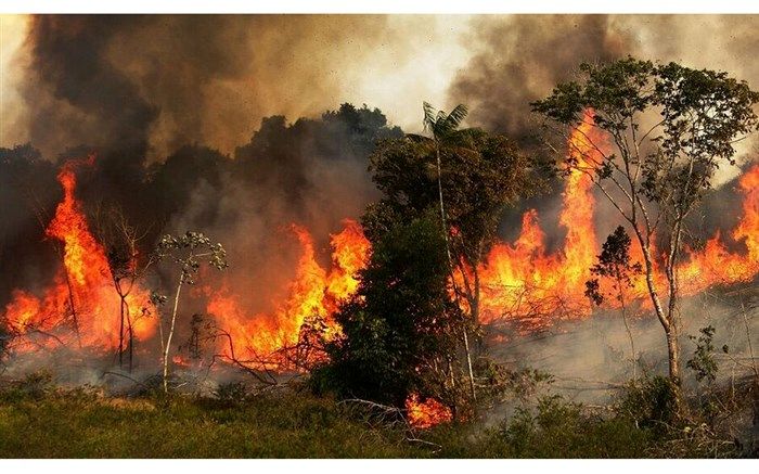 پیوستن دانش‌آموزان گلوگاهی به پویش تهیه تجهیزات اطفای حریق در رویشگاه‌های زاگرس