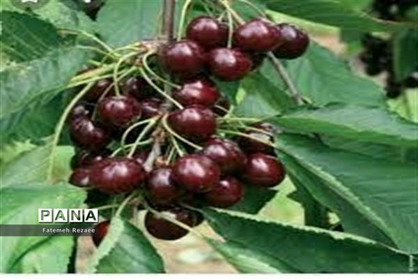 روستای تفریحی گردشگری شیت