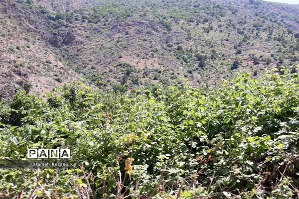 روستای تفریحی گردشگری شیت