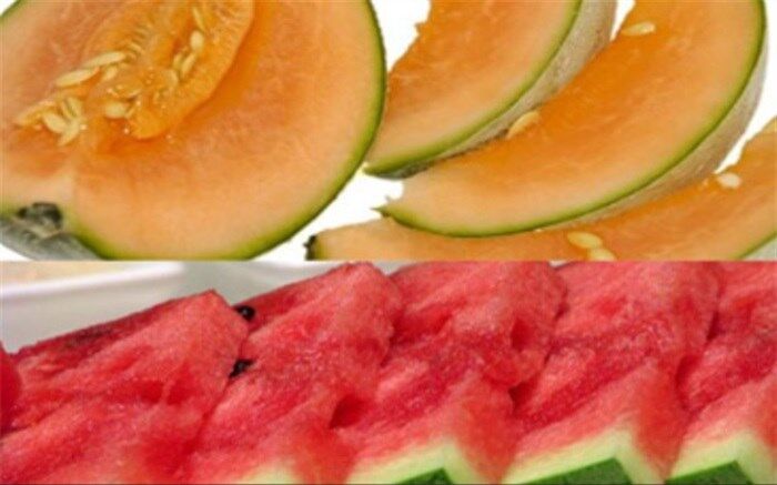 پوست و تخم هندوانه و طالبی را دریابید