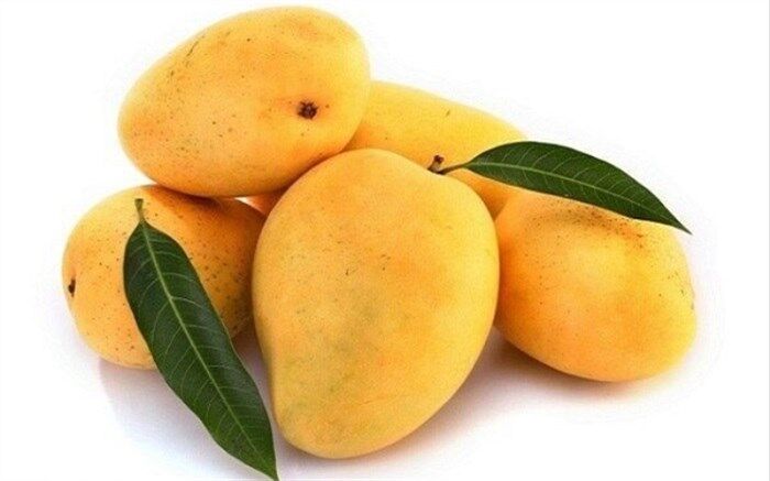 انبه میوه‌‌ای کاهش وزن