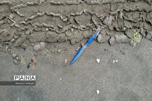 جامانده در ساحل