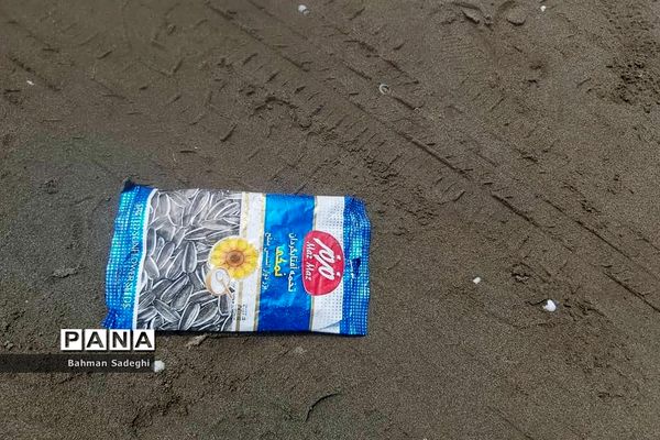 جامانده در ساحل