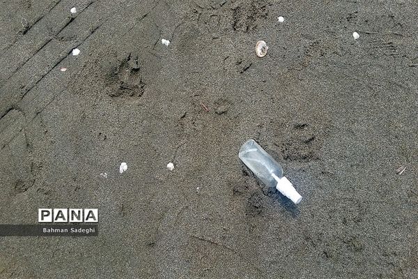 جامانده در ساحل