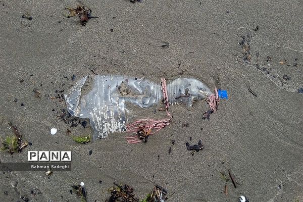 جامانده در ساحل