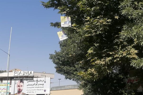 حال و هوای شهرستان کاشمر در ایام انتخابات