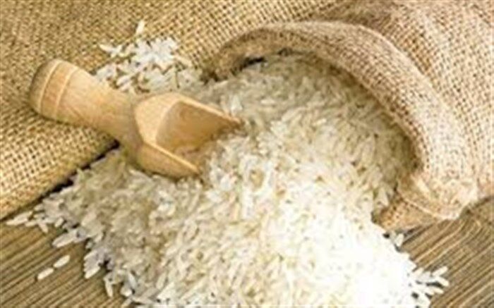 ضرورت کاهش ضایعات برنج در رشت