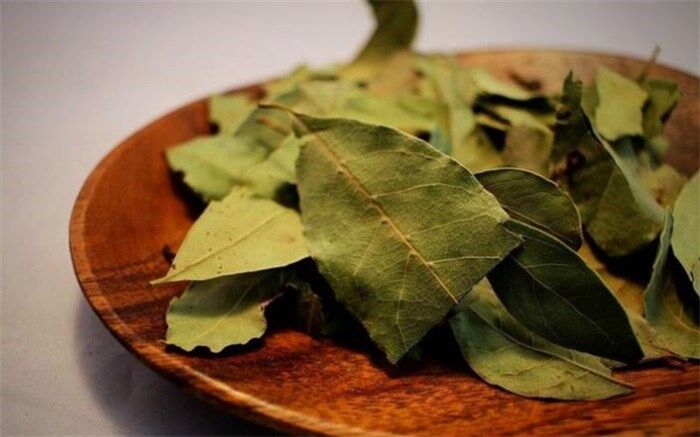 فواید برگ بو برای زیبایی پوست و مو