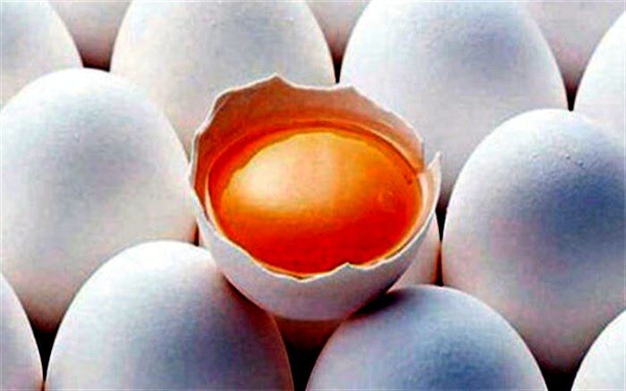 زرده تخم مرغ مصرف کنیم یا نه؟