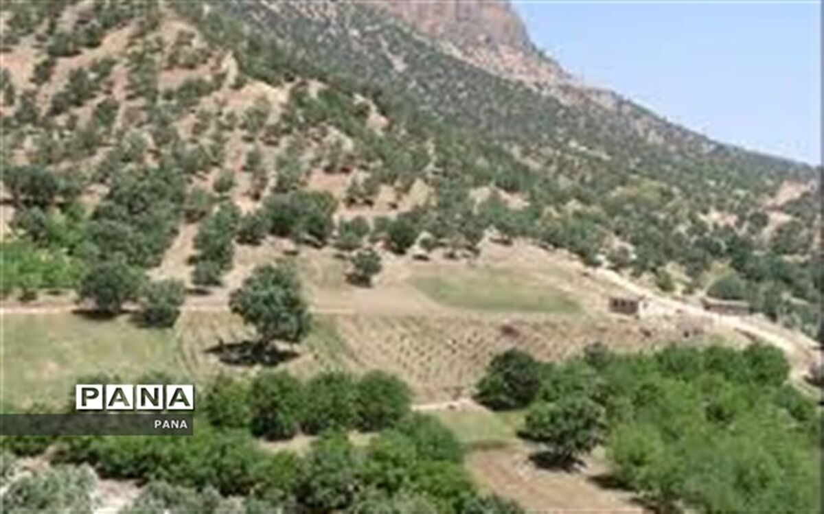 محیط بانان از حق و حقوق قانونی برخوردار شوند